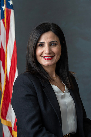 Robin Persiconi, Council Member