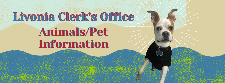 Pet Animal Information Banner Photo